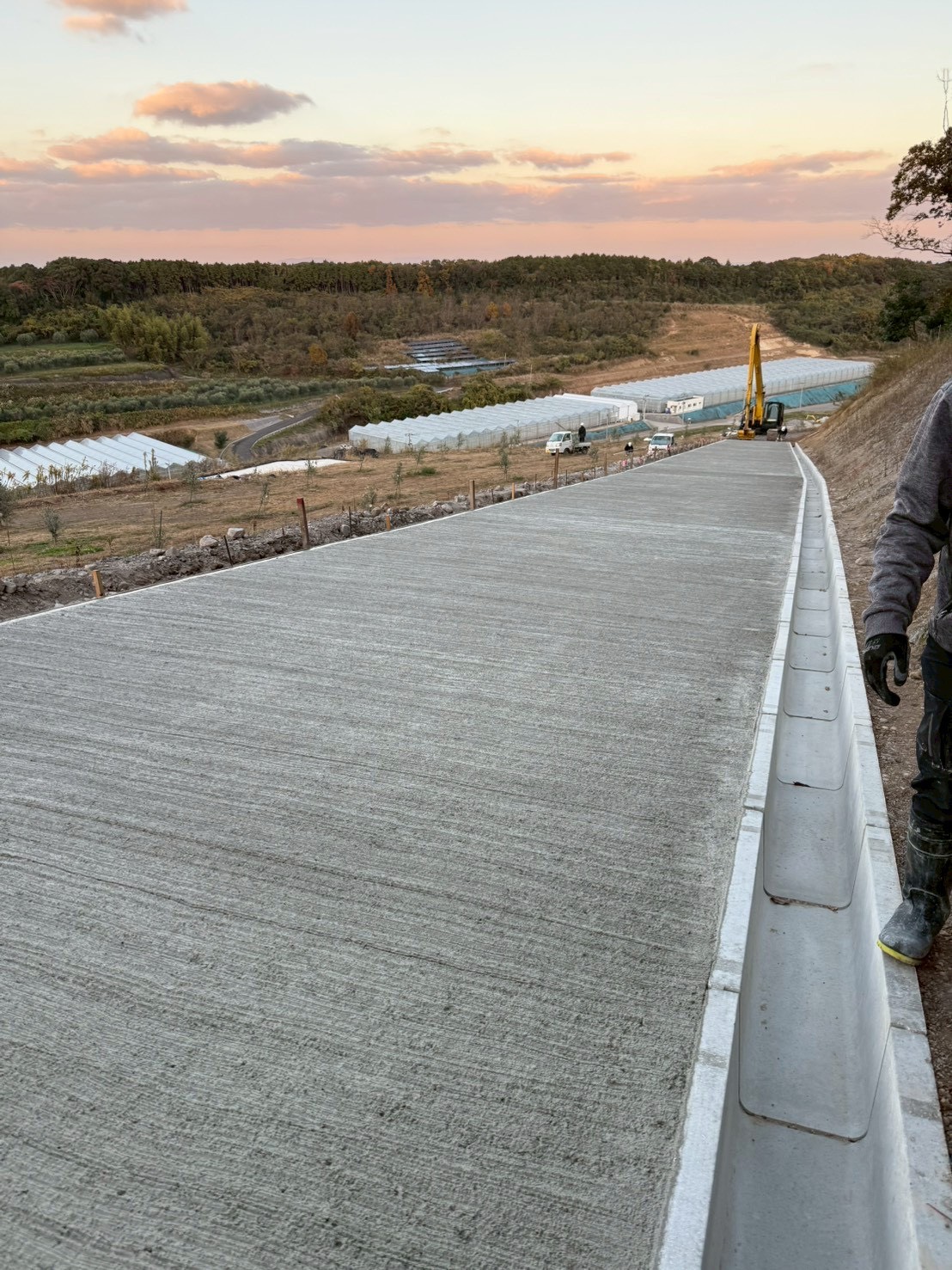 コンクリート舗装道路
